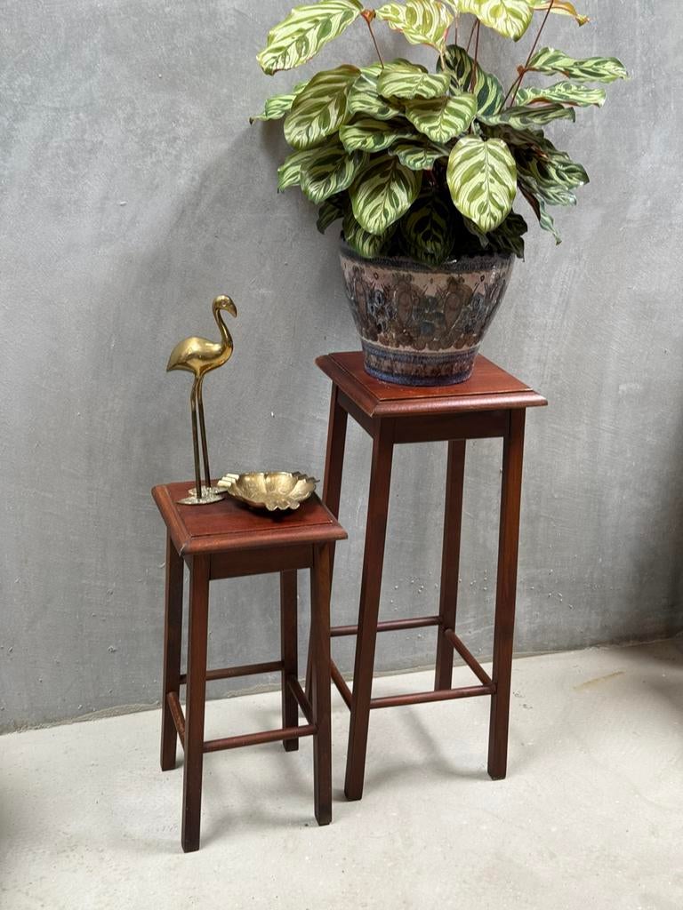 Plantentafels - set van twee, Ophalen, Gebruikt, Q, W