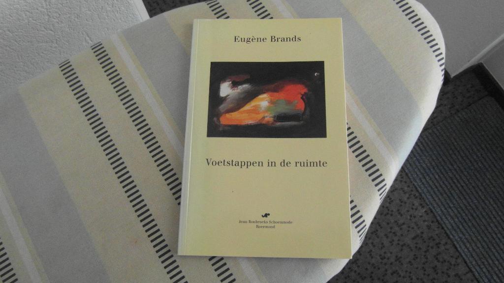 EUGENE BRANDS ; zeldzaam boek, niet in de boekwinkel te koop, Ophalen of Verzenden, Zo goed als nieuw, Schilder- en Tekenkunst