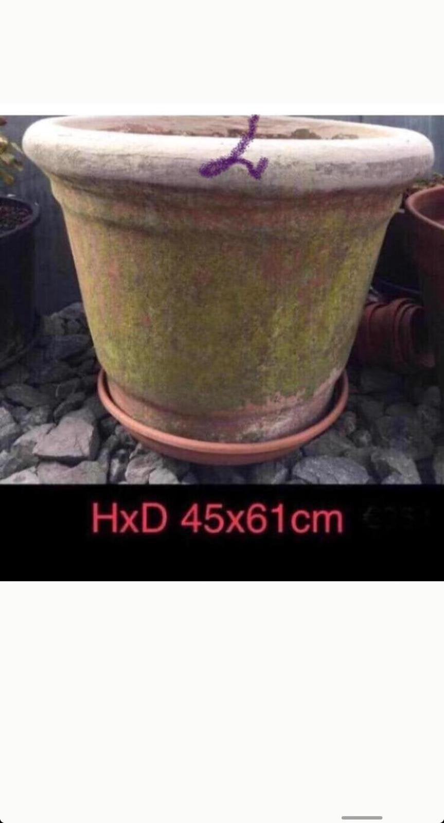 Antieke grote oude zware terracotta bloempot 61cm, Ophalen, Gebruikt, 40 cm of meer, Rond