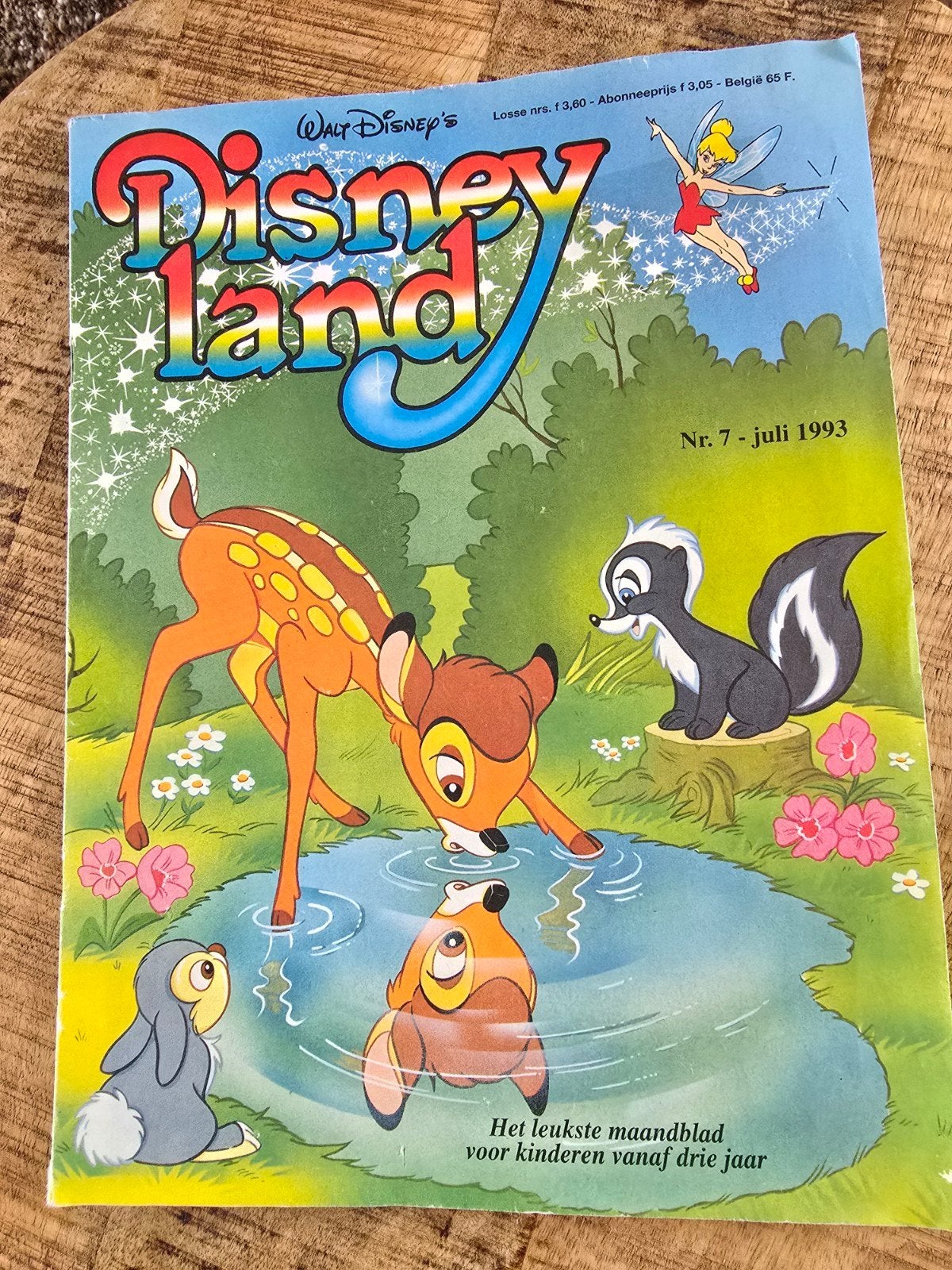 Disney land, Ophalen of Verzenden, Gebruikt