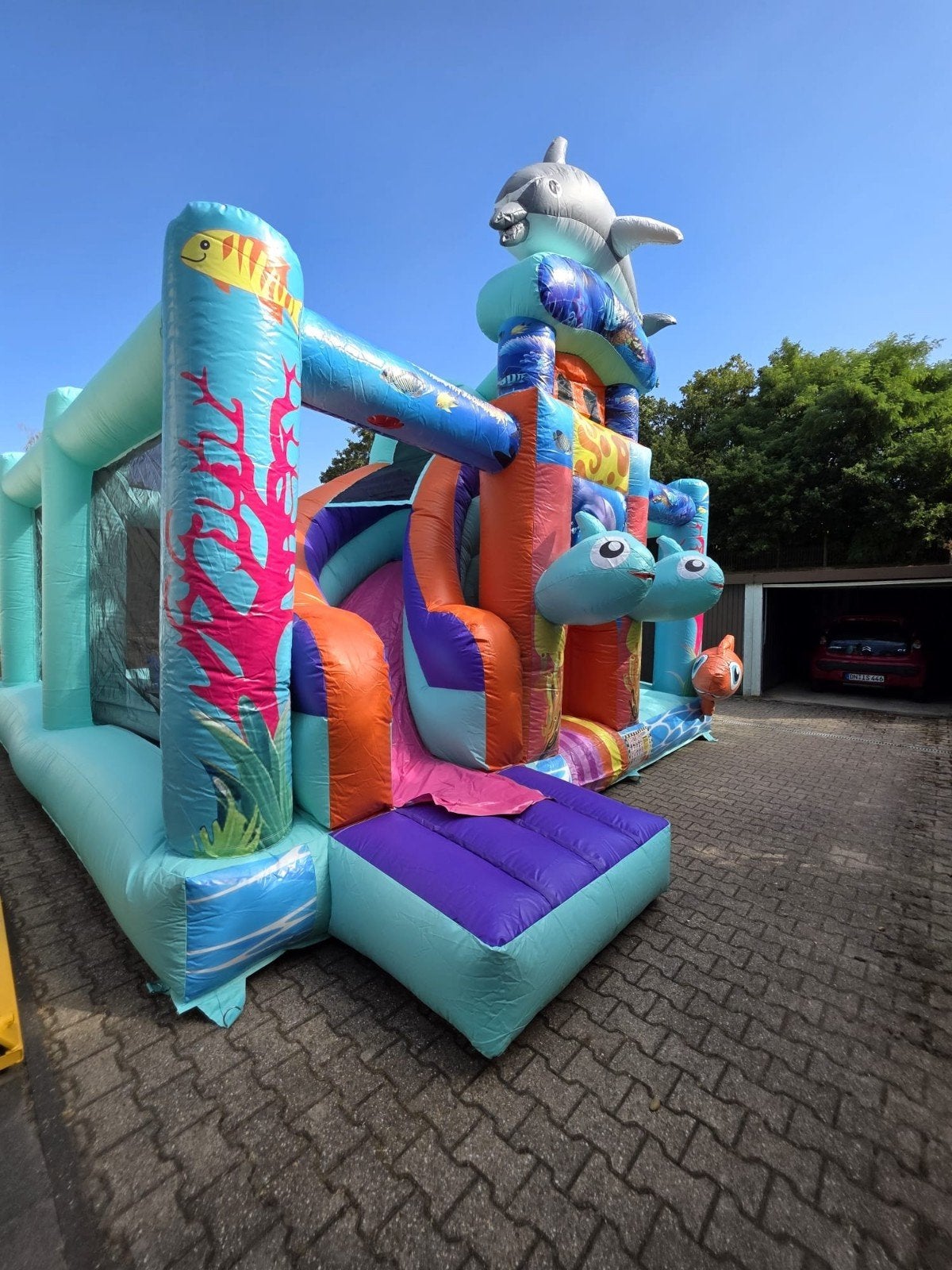 springkussen nieuw, Ophalen of Verzenden, Nieuw