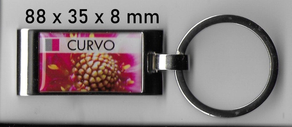 Sl444 stevige sleutelhanger curvo -  Verzendkosten 2.80, Ophalen of Verzenden, Nieuw