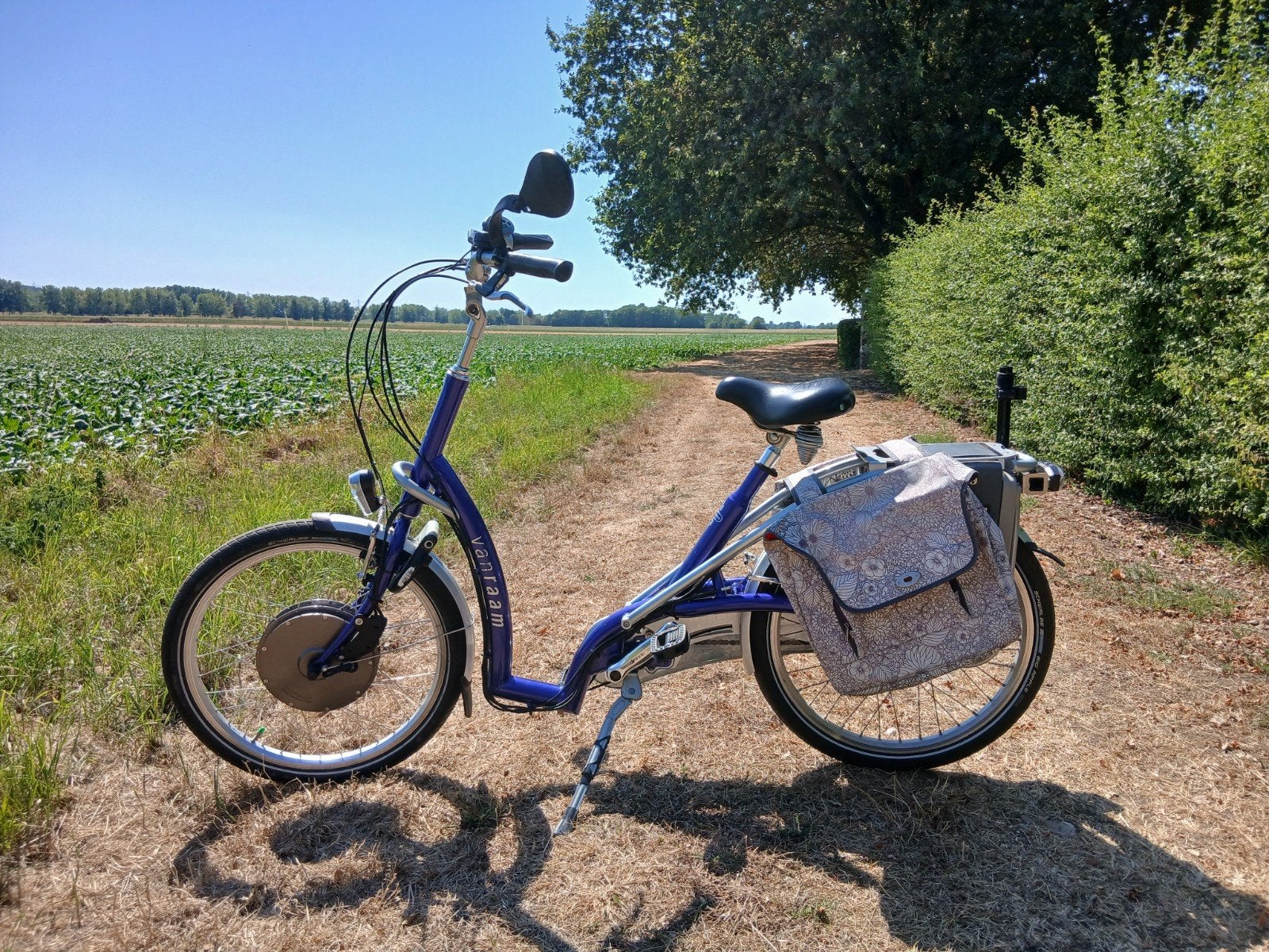 te koop elektrische van Raam balance lage instapfiets., Ophalen, Overige merken