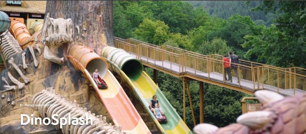 4 x Plopsaland - Vrij besteedbaar - in prijs verlaagd, Drie personen of meer, Ticket of Toegangskaart