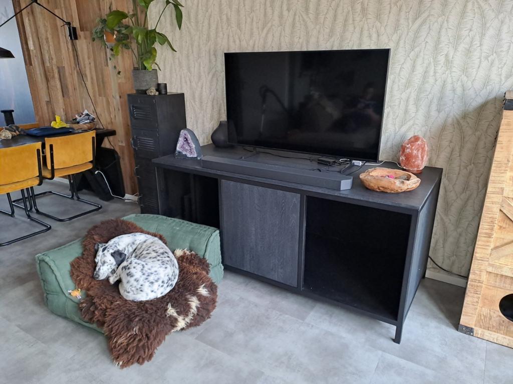 Diep dressoir met hondenligplaatsen, Ophalen, 75 cm of meer, 150 tot 200 cm, Zo goed als nieuw