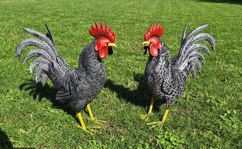Nieuw metalen haan tuinbeeld zwart, Verzenden, Nieuw, Metaal, Dierenbeeld