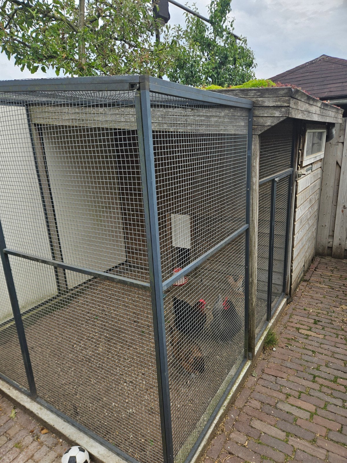 kippenhok, Dieren en Toebehoren, Pluimvee | Toebehoren, Ophalen, Kippenhok of Kippenren