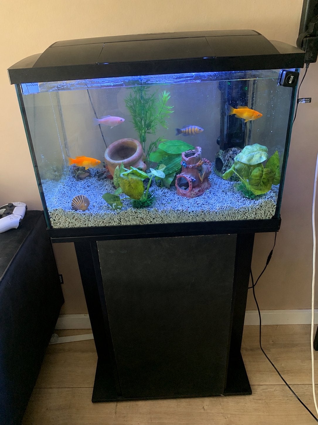 Aquarium, Vissen, Water, Vis, Vissenkom, Ophalen, Gebruikt