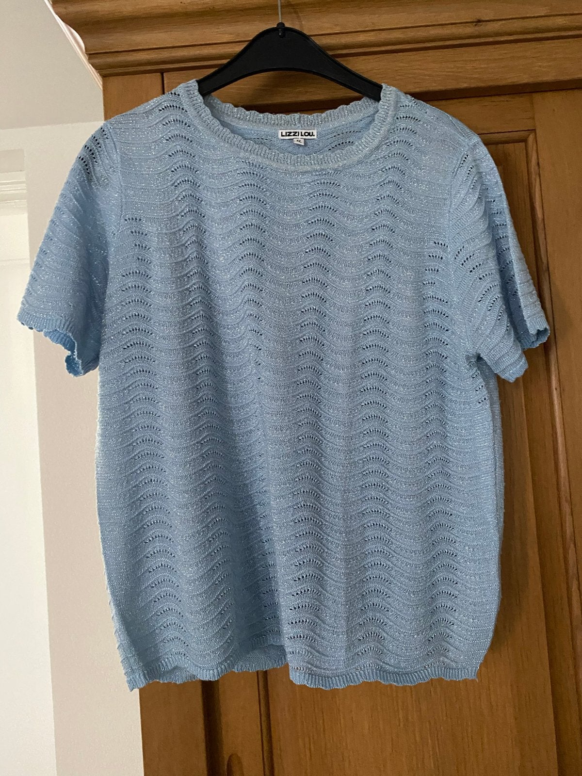 Lizzilou Lichtblauwe Gebreide Top Maat XL met zilver glitter, Kleding | Dames, T-shirts, Blauw, Maat 42/44 (L), Ophalen of Verzenden