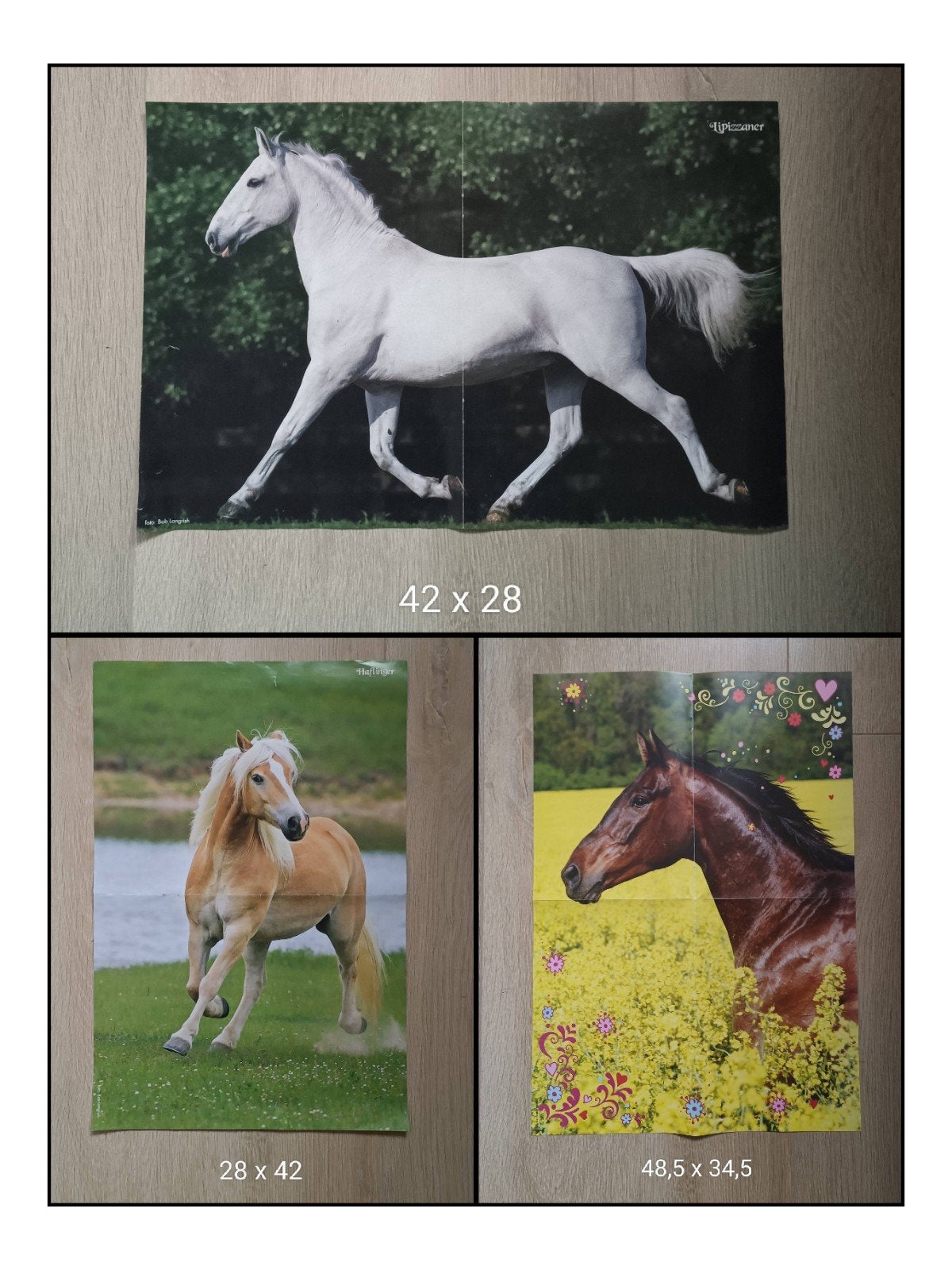 3 Paarden posters, Ophalen of Verzenden, Zo goed als nieuw