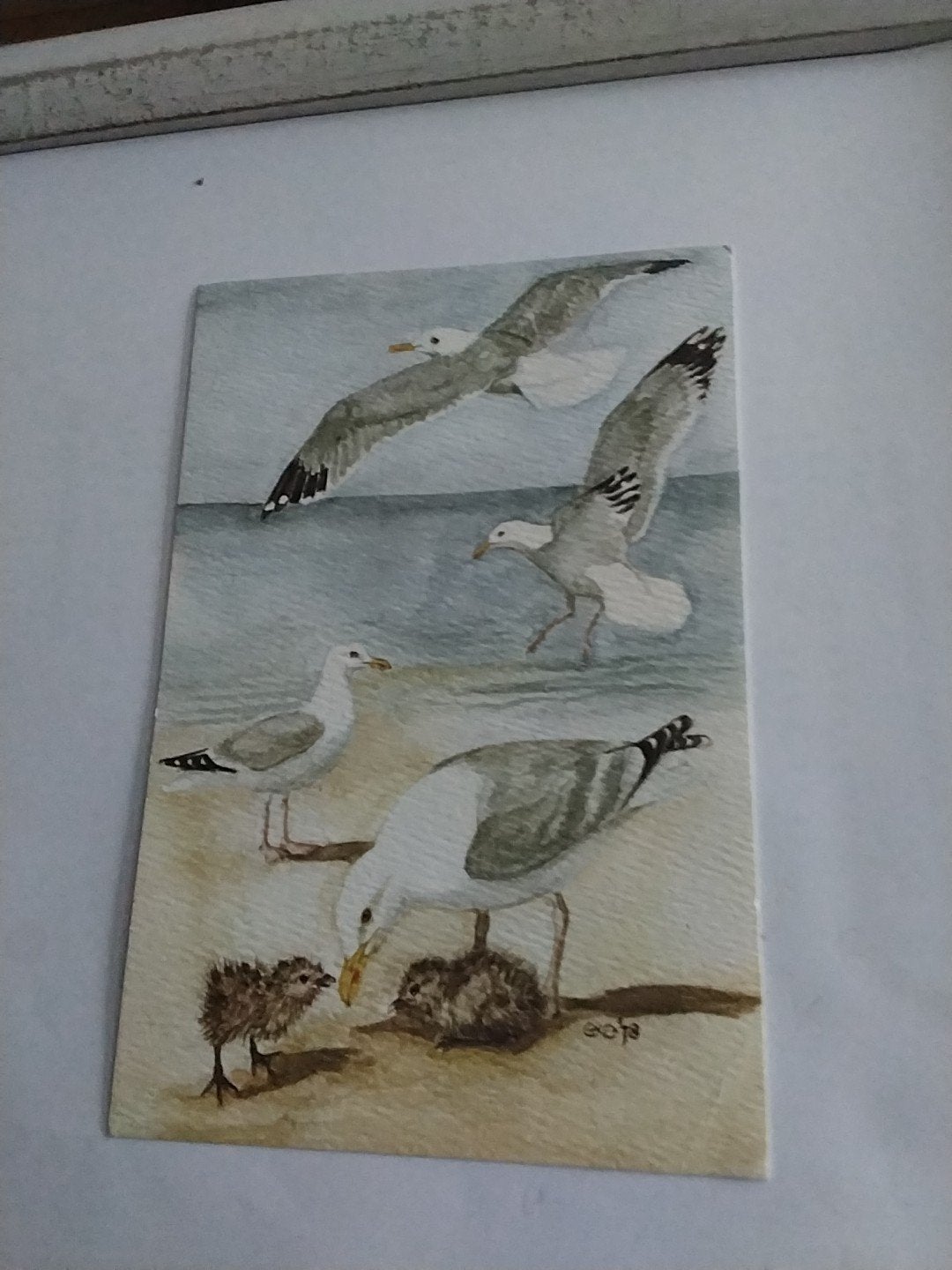 Oude ansichtkaart: Meeuwen aan zee, Wadden natuur, Ophalen of Verzenden, 1960 tot 1980, Gelopen