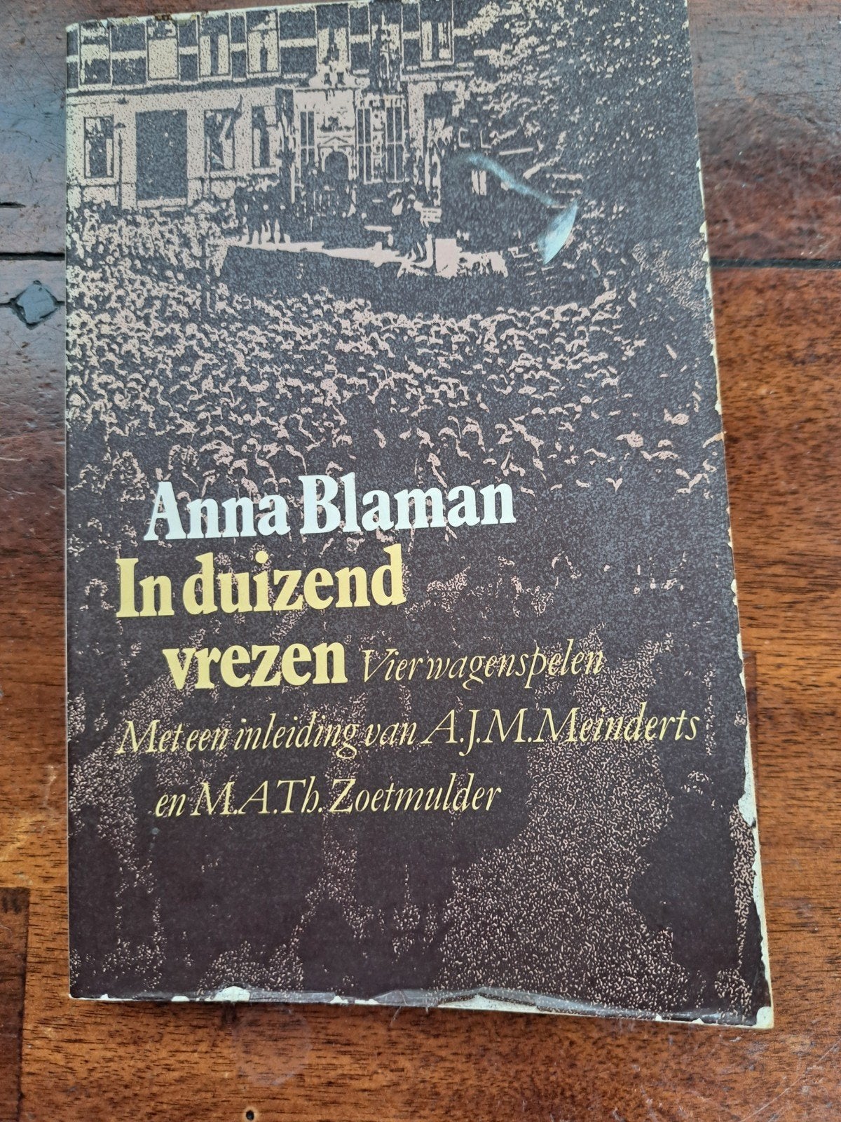Anna Blaman - In duizend vrezen (Vier wagenspelen), Ophalen of Verzenden, Gelezen, Anna Blaman, Nederland