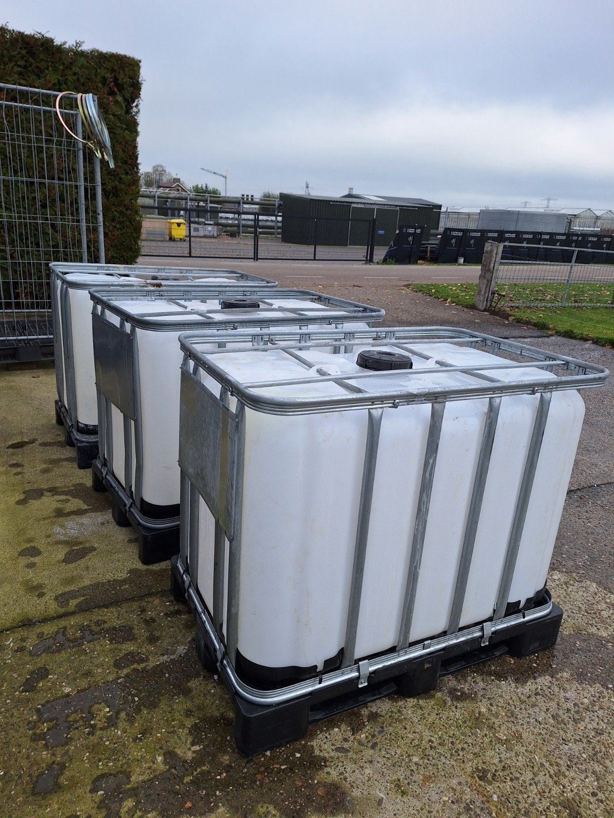 Te koop, 600 ltr ibc vaten tonnen, Ophalen, Kunststof, Gebruikt, Met kraantje