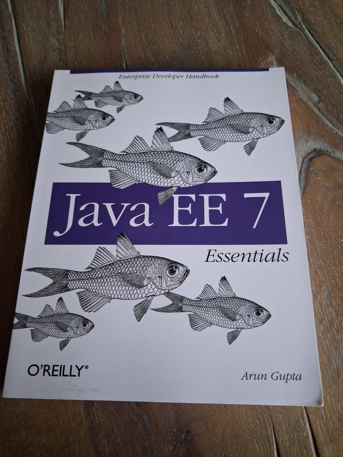 Java EE 7 Essentials - O'Reilly - Arun Gupta, Ophalen of Verzenden, Zo goed als nieuw, Programmeertaal of Theorie, Arun Gupta
