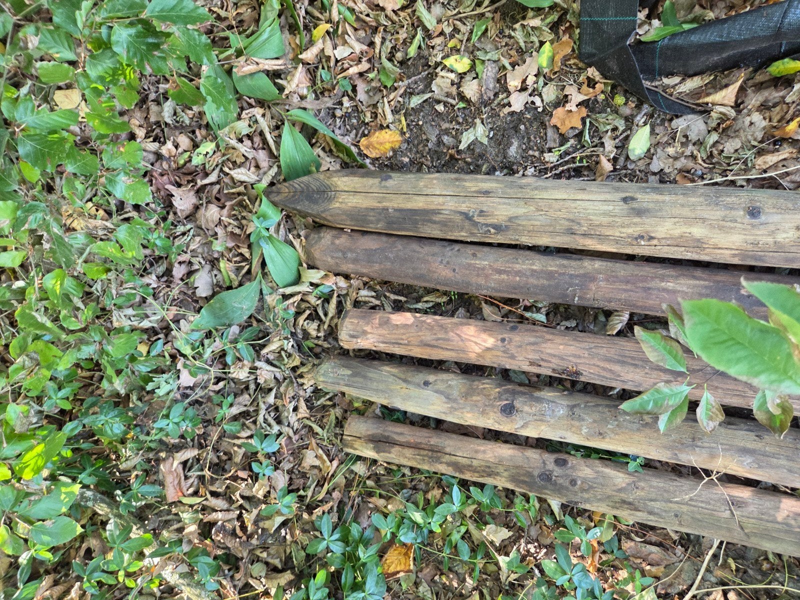 5 tuin palen 3 meter lang, Ophalen, 250 cm of meer, Palen