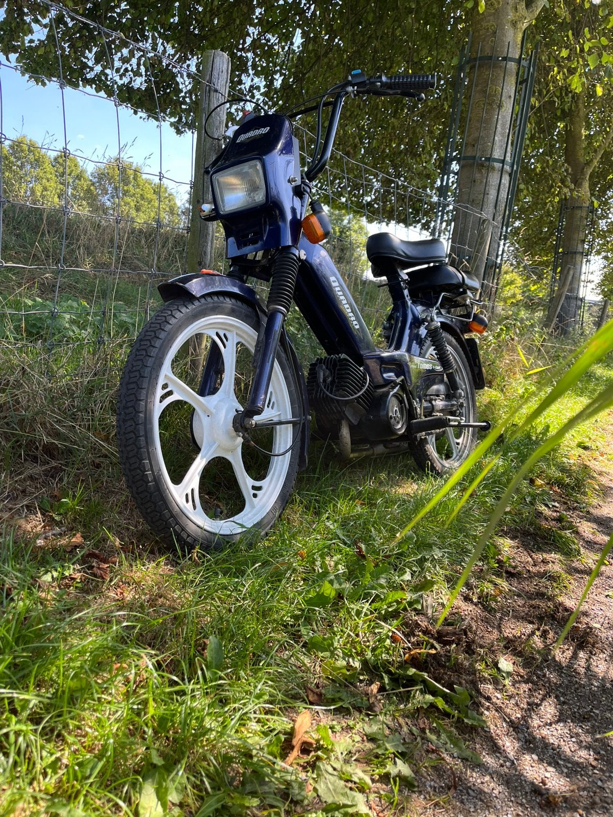 Mooie tomos Quadro, Fietsen en Brommers, Ophalen, Zo goed als nieuw, Quadro