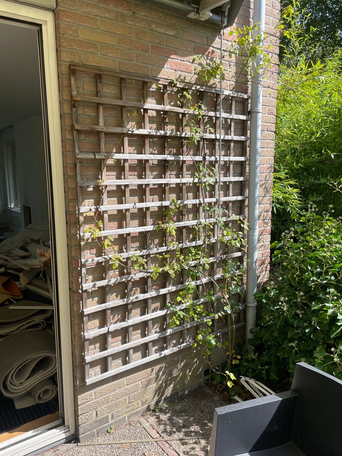 Houten klimrek voor planten - Groot en stevig, Ophalen, Gebruikt