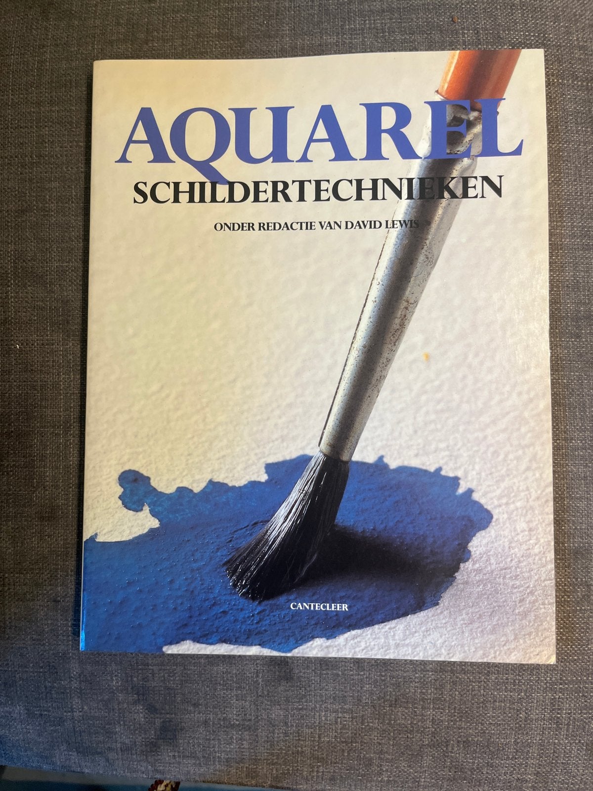 Aquarel Schildertechnieken - David Lewis, Boeken, Ophalen of Verzenden, Zo goed als nieuw, Overige onderwerpen