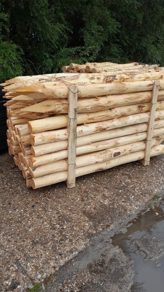 Robiniahouten palen, robinia paal 300cm lang 14-16cm dik, Ophalen, Nieuw, 250 cm of meer, Palen