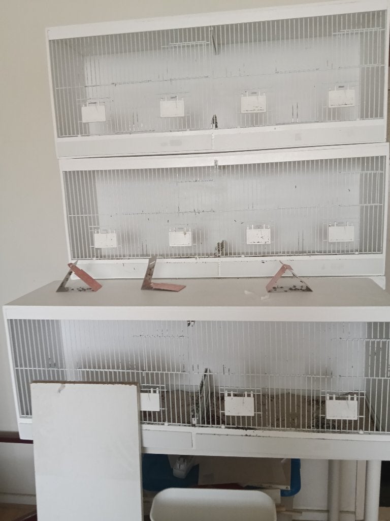 TKA houten broedkooien, Dieren en Toebehoren, Vogels | Hokken en Kooien, Ophalen, Zo goed als nieuw, Hout, Vogelkooi