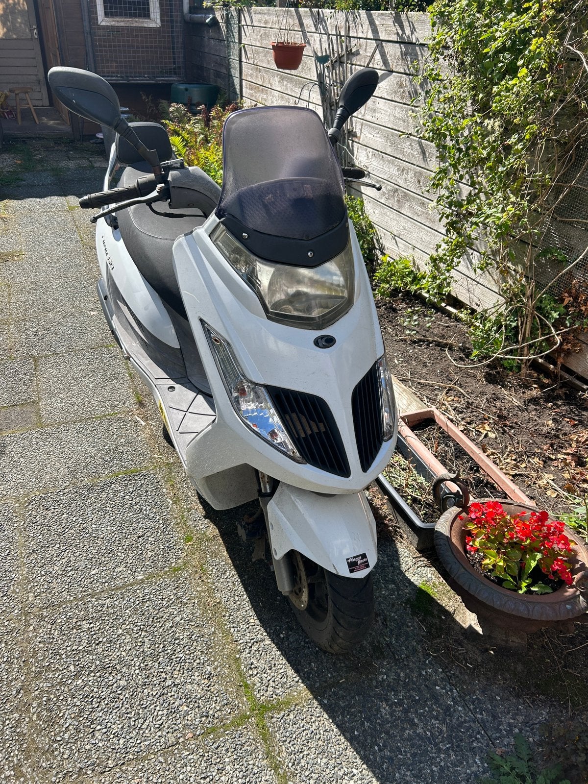Kymco Dink 50 scooter - Opknapper, Ophalen, Zo goed als nieuw, Benzine, Overige modellen