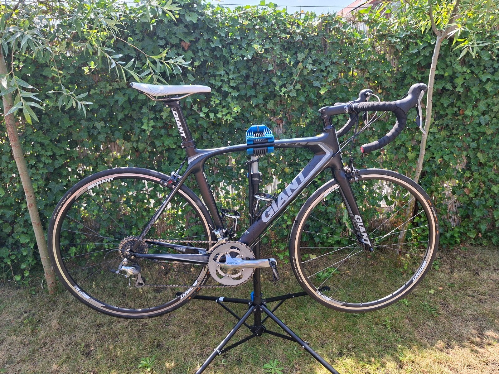 Giant TCR Composite 3 racefiets met Shimano Tiagra, Fietsen en Brommers, Ophalen, Gebruikt, Carbon, Giant