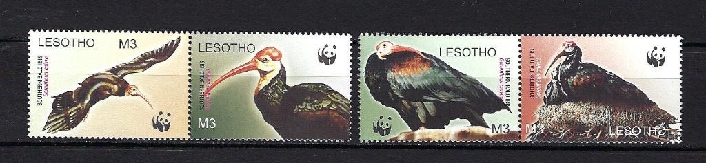 WWF Lesotho Mi. 1895/1898 Postfris (vogels), Ophalen of Verzenden, Postfris, Dier of Natuur