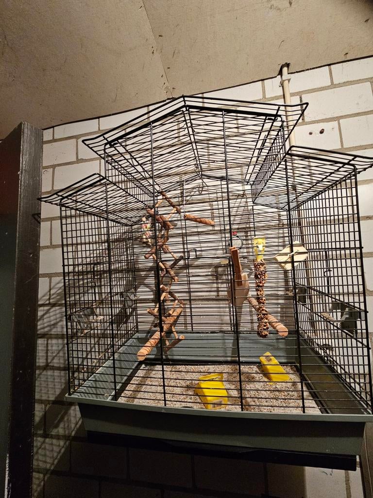 vogelkooi, Dieren en Toebehoren, Vogels | Hokken en Kooien, Ophalen of Verzenden, Zo goed als nieuw, Metaal, Vogelkooi
