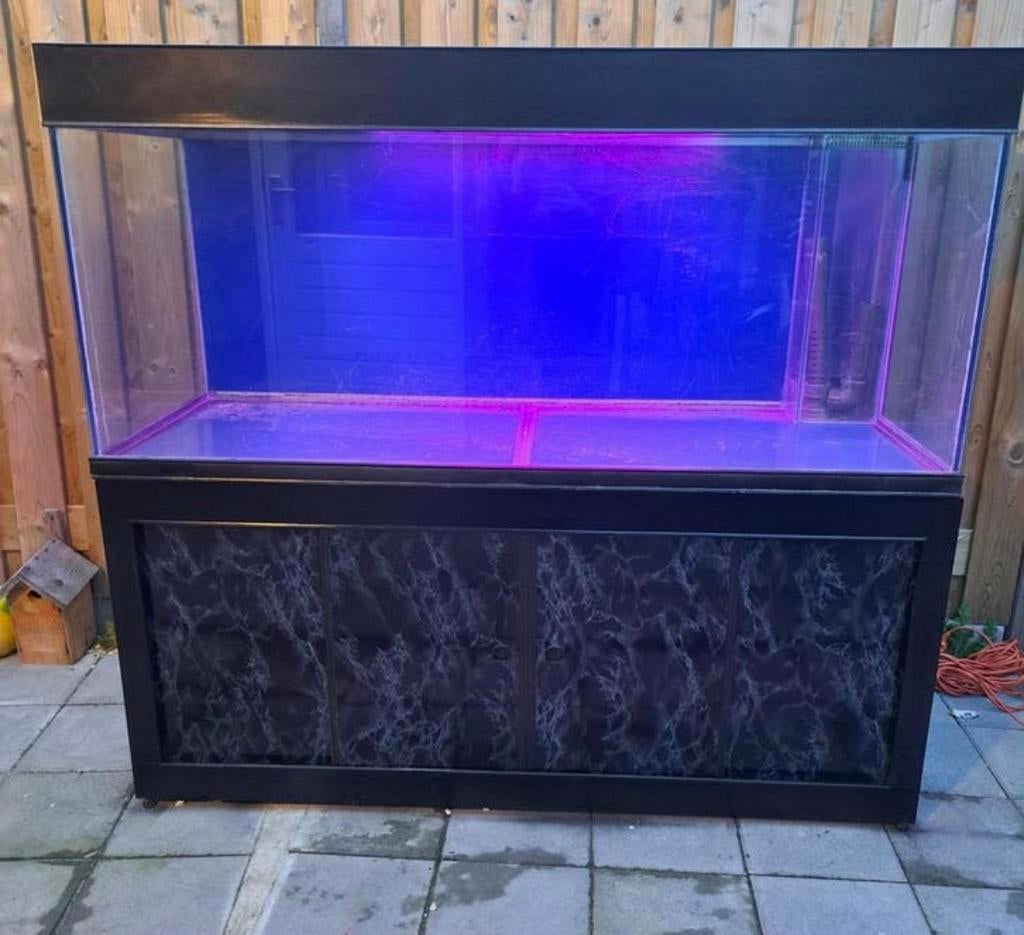 720 liter aquarium 160x60x75, Ophalen, Gebruikt, Leeg aquarium