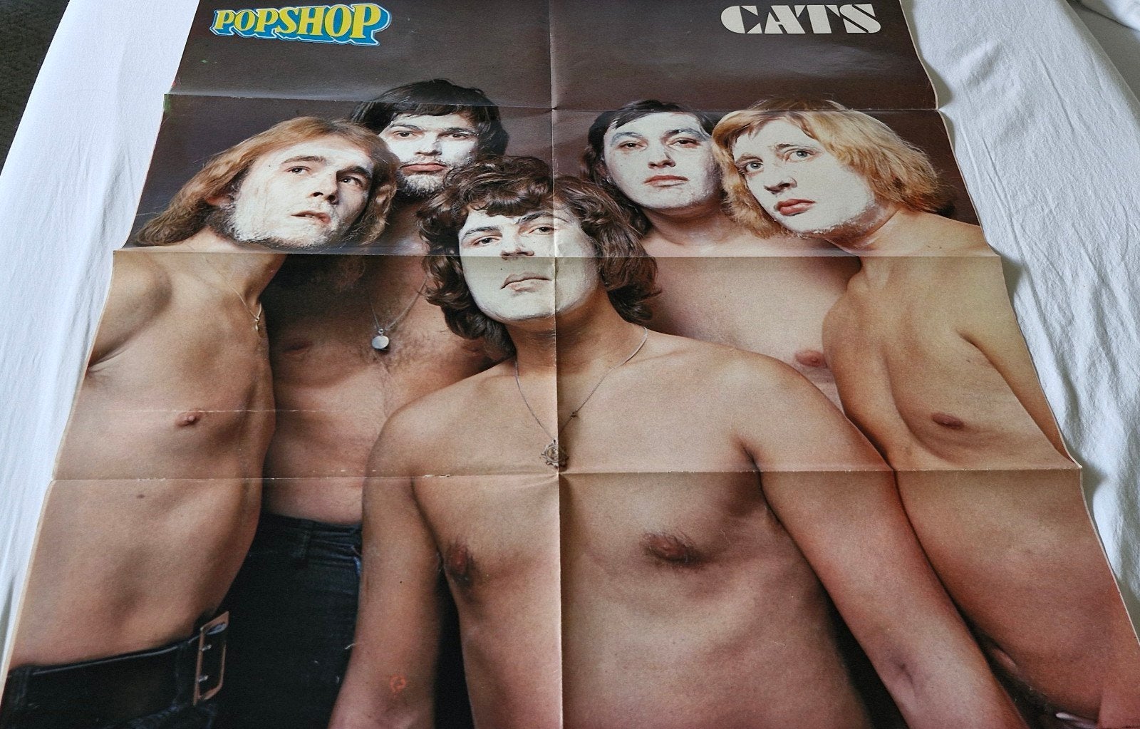 Vintage Popshop Cats Poster - Muziekband Jaren '70, Ophalen of Verzenden, A1 t/m A3, Muziek, Rechthoekig Staand