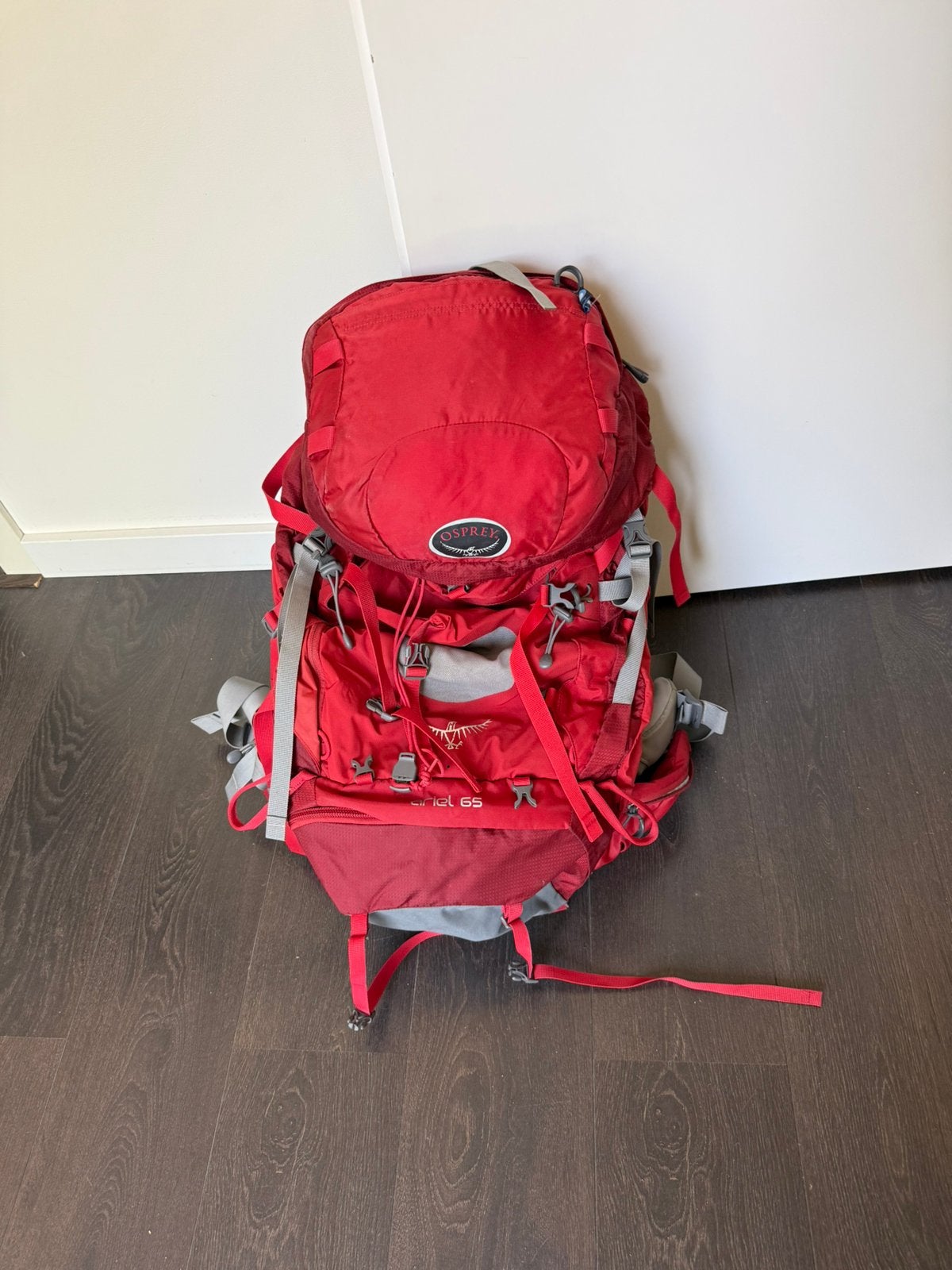 Osprey backpack, 40 cm of meer, Gebruikt, Trekking, Ophalen