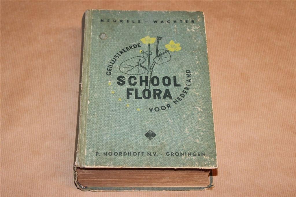 Geïllustreerde Schoolflora voor Nederland — Heukels 1949, Boeken, Natuur, Ophalen of Verzenden, Gelezen