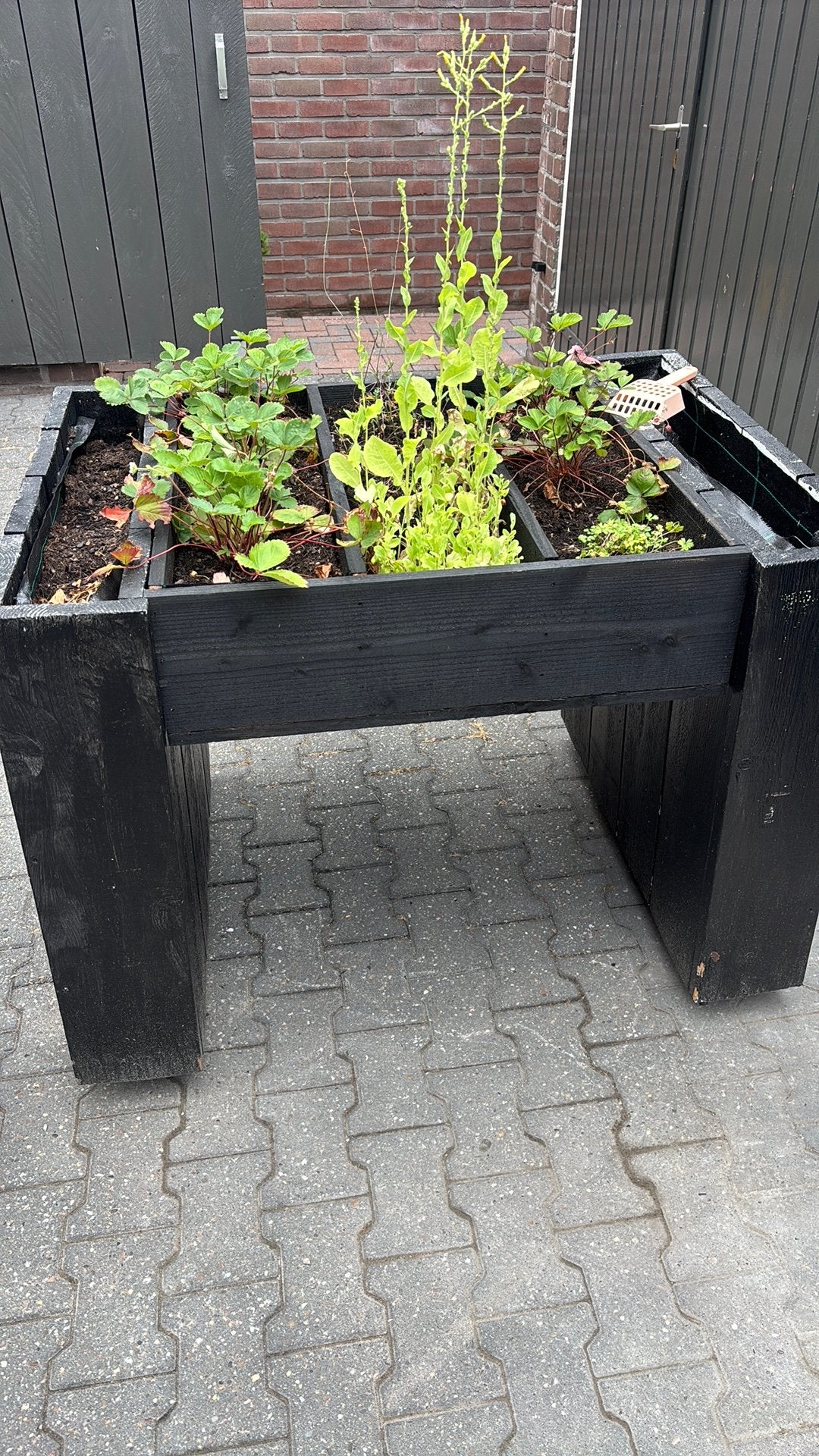 Gratis kweekbak., 100 cm of meer, Ophalen of Verzenden, Zo goed als nieuw, Rechthoekig