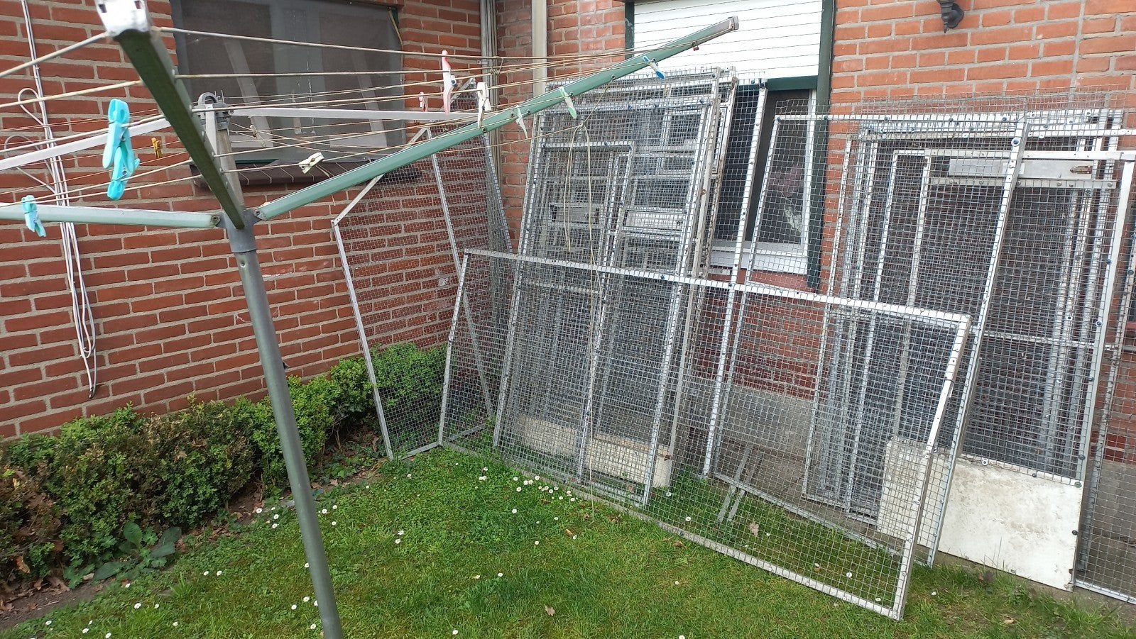 Volare  te koop   dik gaas, Dieren en Toebehoren, Knaagdieren en Konijnen | Hokken en Kooien, Ophalen of Verzenden, 110 cm of meer