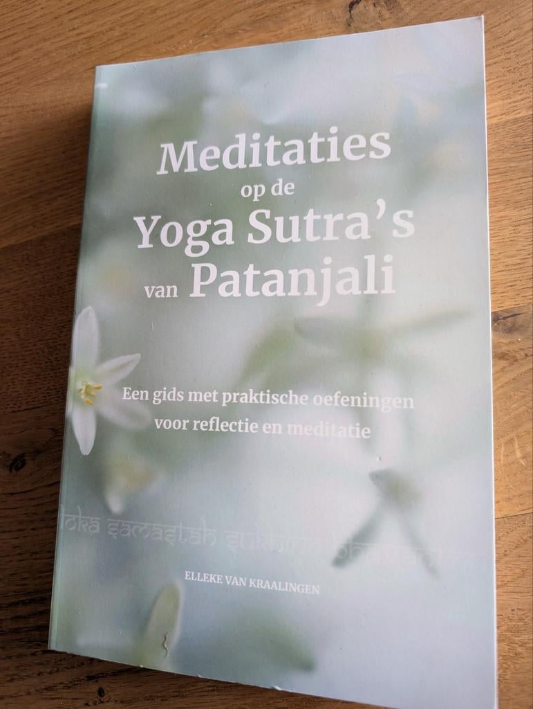 Meditaties op de Yoga Sutra's van Patanjali, Boeken, Filosofie, Zo goed als nieuw, Ophalen of Verzenden