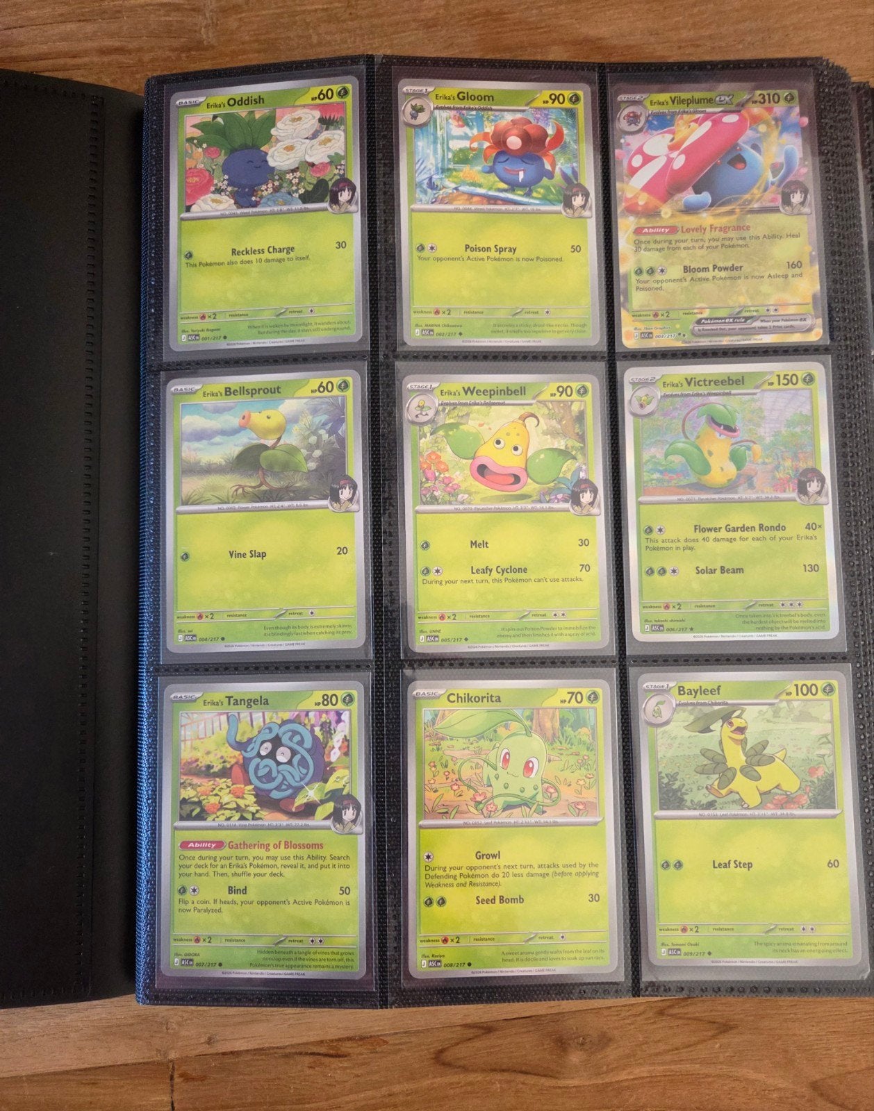 Ascended Heroes Collectie:Hits + Baseset + Reverses + Binder, Ophalen of Verzenden, Zo goed als nieuw, Meerdere kaarten