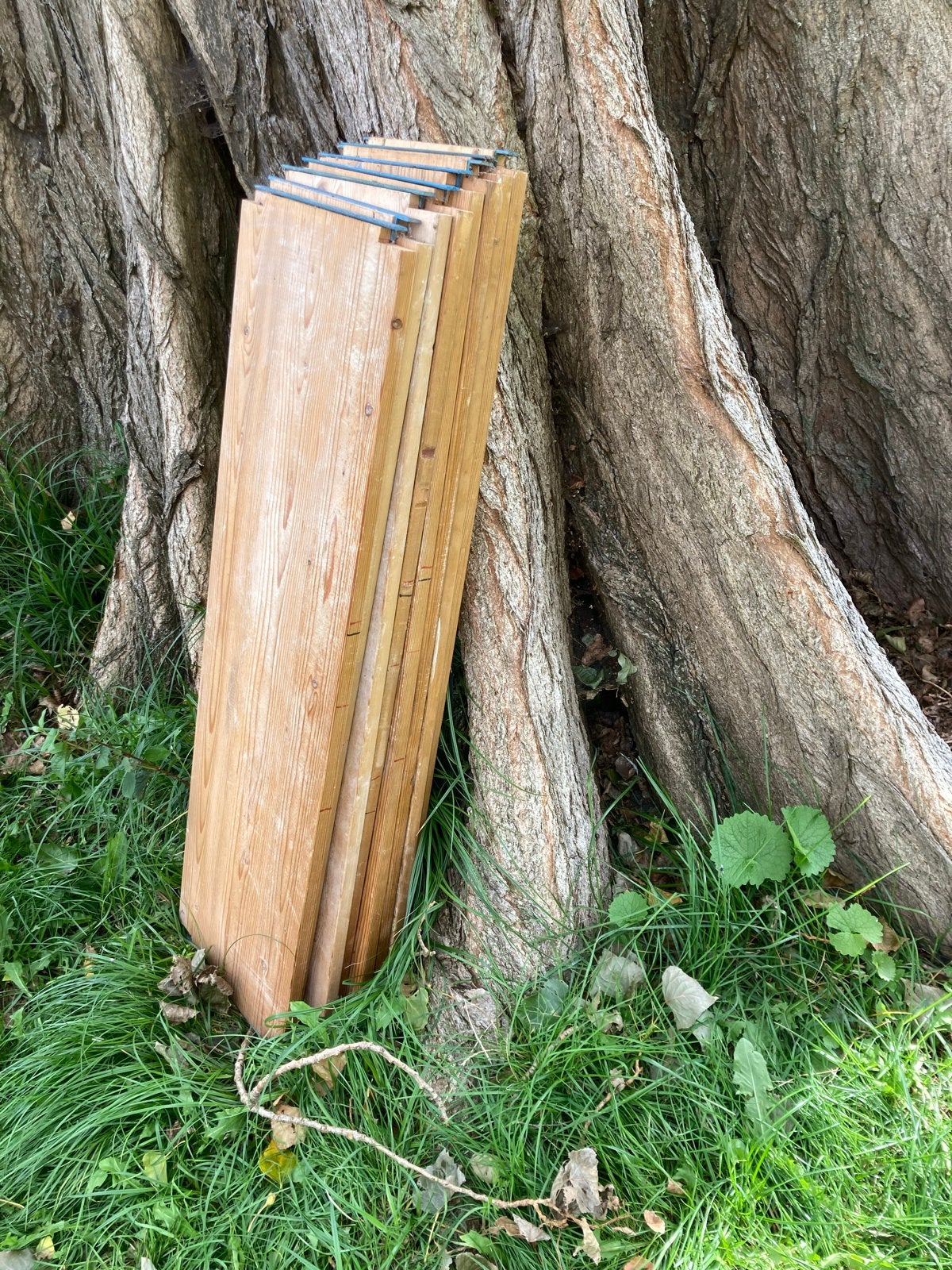 Gebruikte houten planken Lundia voor boekenkast, Gebruikt, 25 tot 50 mm, Grenen, Ophalen of Verzenden