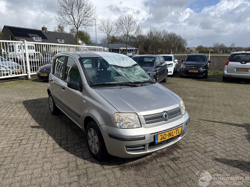 Fiat Panda 1.2 Dynamic (bj 2003), 1242 cc, Handgeschakeld, Zilver of Grijs, Hatchback