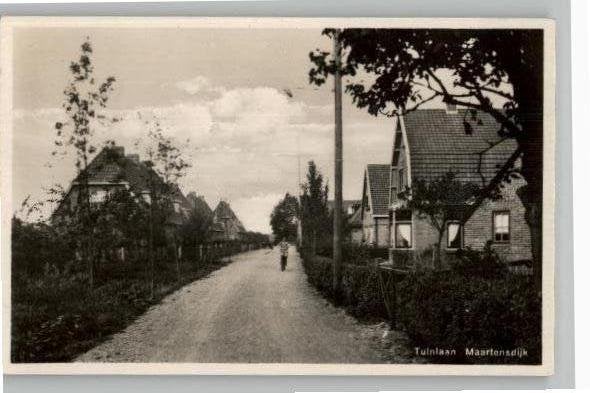 Maartensdijk Tuinlaan, Ophalen of Verzenden, 1920 tot 1940, Ongelopen, Utrecht