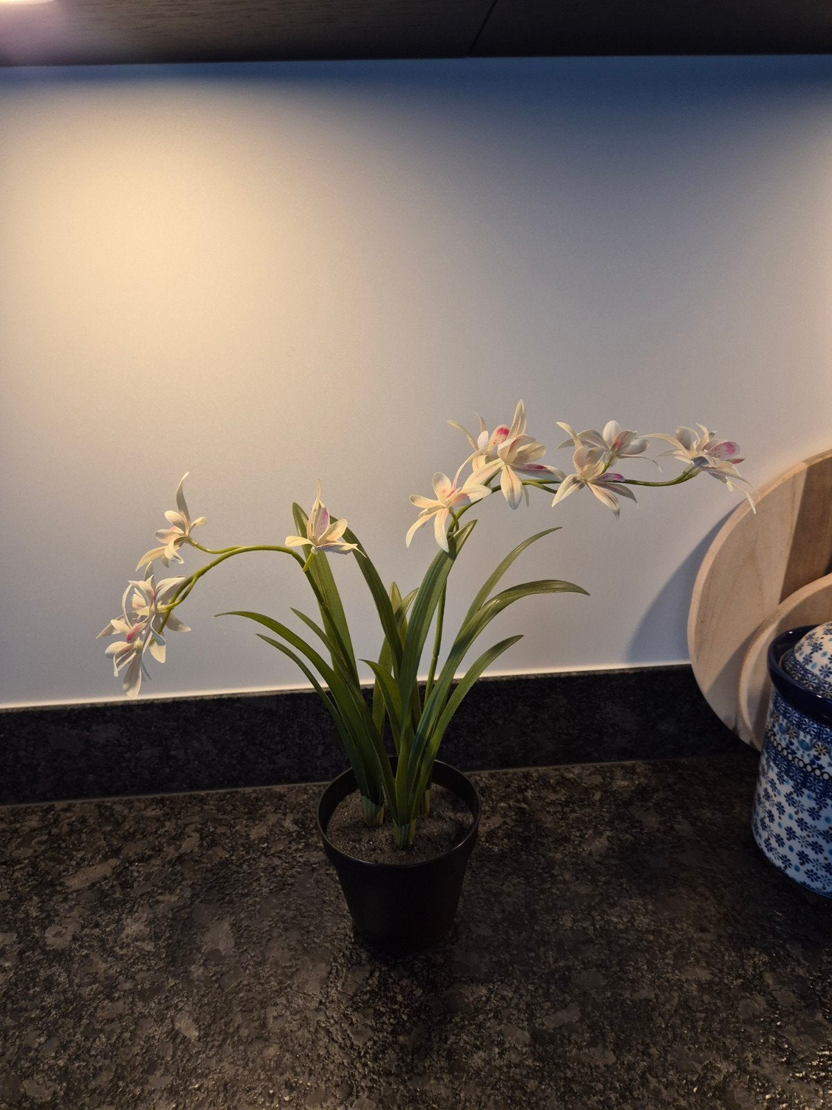 IKEA kunstplant Fejka, Huis en Inrichting, Woonaccessoires | Kunstplanten en Kunstbloemen, Ophalen of Verzenden
