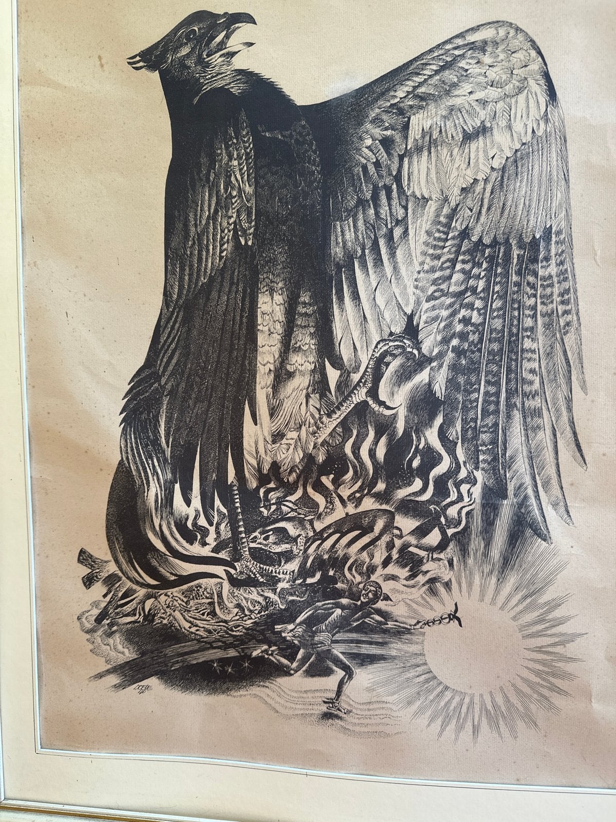 Vintage Adelaar Print - 53x70 cm - Lijst in slechte staat, Ophalen, Print, Prent, Ingelijst