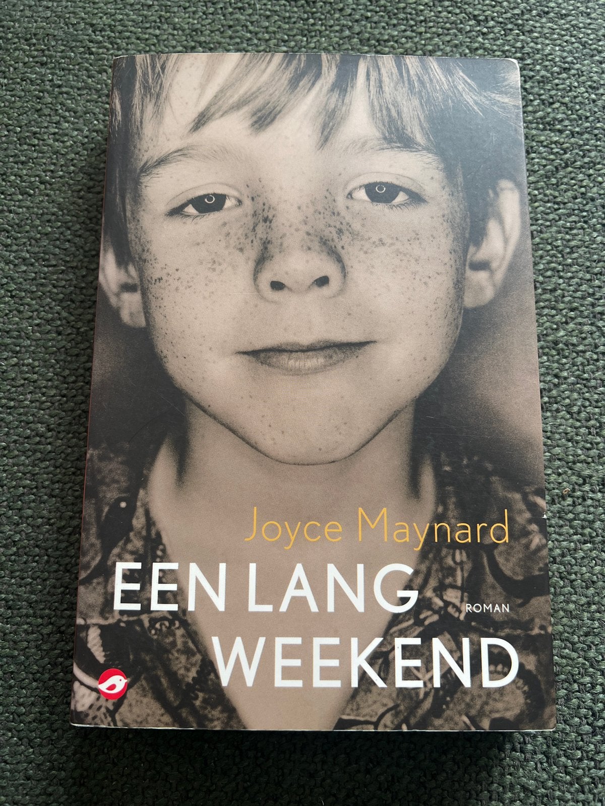 Een Lang Weekend - Joyce Maynard (Roman), Boeken, Ophalen of Verzenden, Nieuw, Amerika