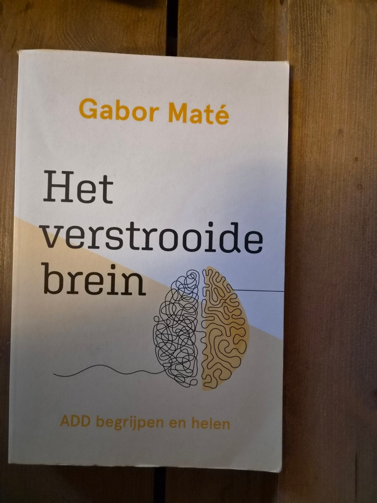 Het verstrooide brein - Gabor Maté (ADD begrijpen en helen), Ophalen of Verzenden, Zo goed als nieuw, Functieleer of Neuropsychologie