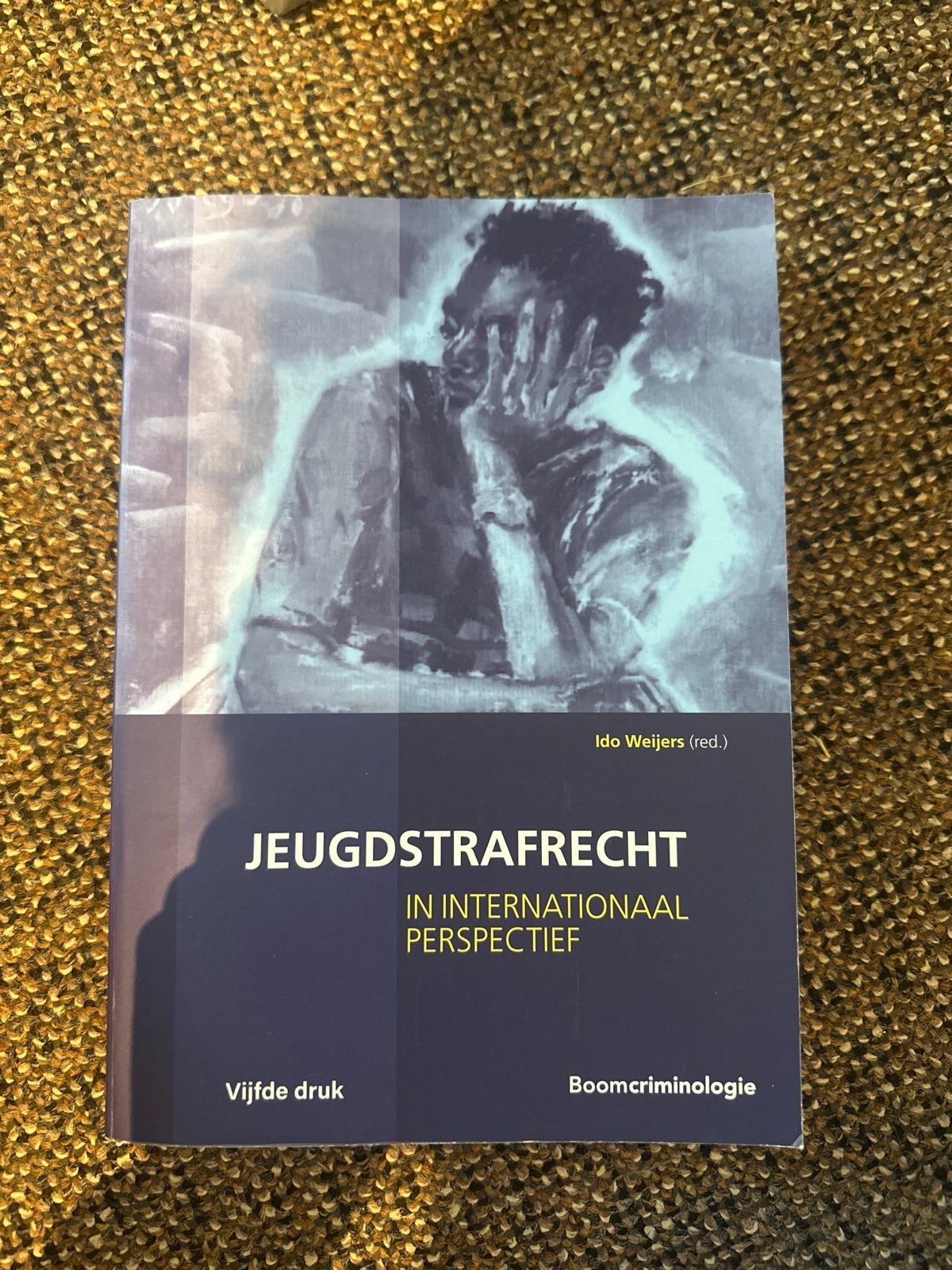 Jeugdstrafrecht Ido Weijers, Ophalen of Verzenden, Nieuw