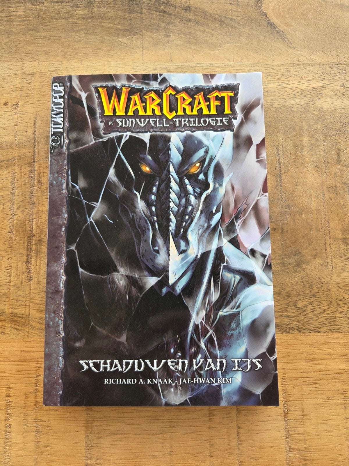 Warcraft De Sunwell Trilogie., Eén comic, Ophalen of Verzenden, Richard A. Knaak, Japan (Manga)