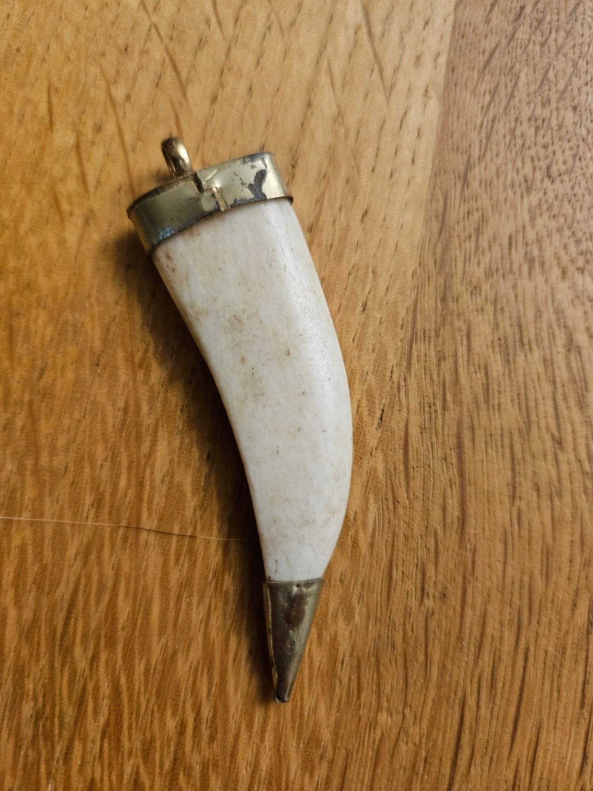Vintage tand hanger - bot of hoorn met metalen accenten, Overige materialen, Gebruikt, Overige voorstellingen, Beige