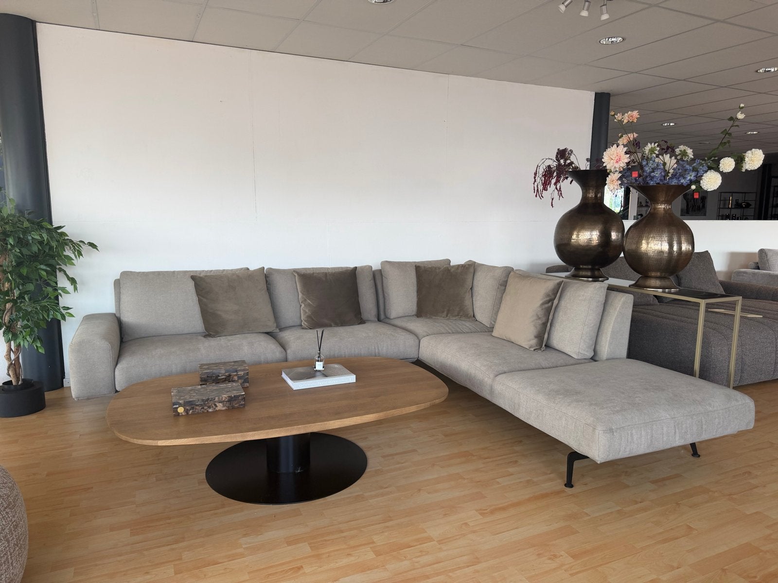 Passe Partout  Summer Sale, Ophalen of Verzenden, Nieuw