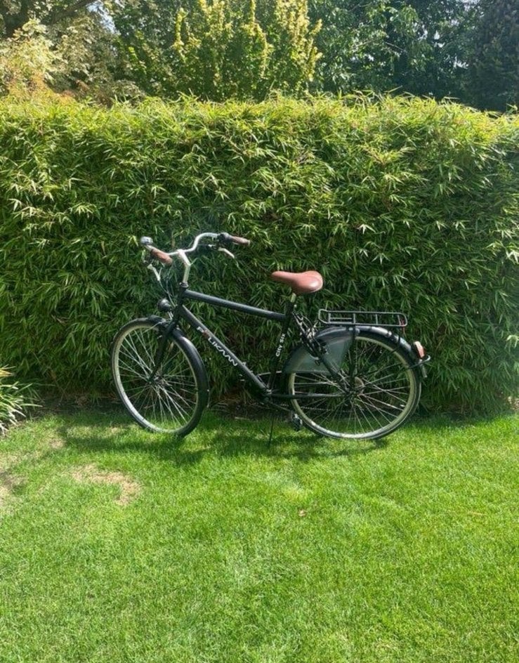 Pelikaan heren fiets ophalen 100 euto, Fietsen en Brommers, Ophalen, Zo goed als nieuw, Overige merken, Versnellingen