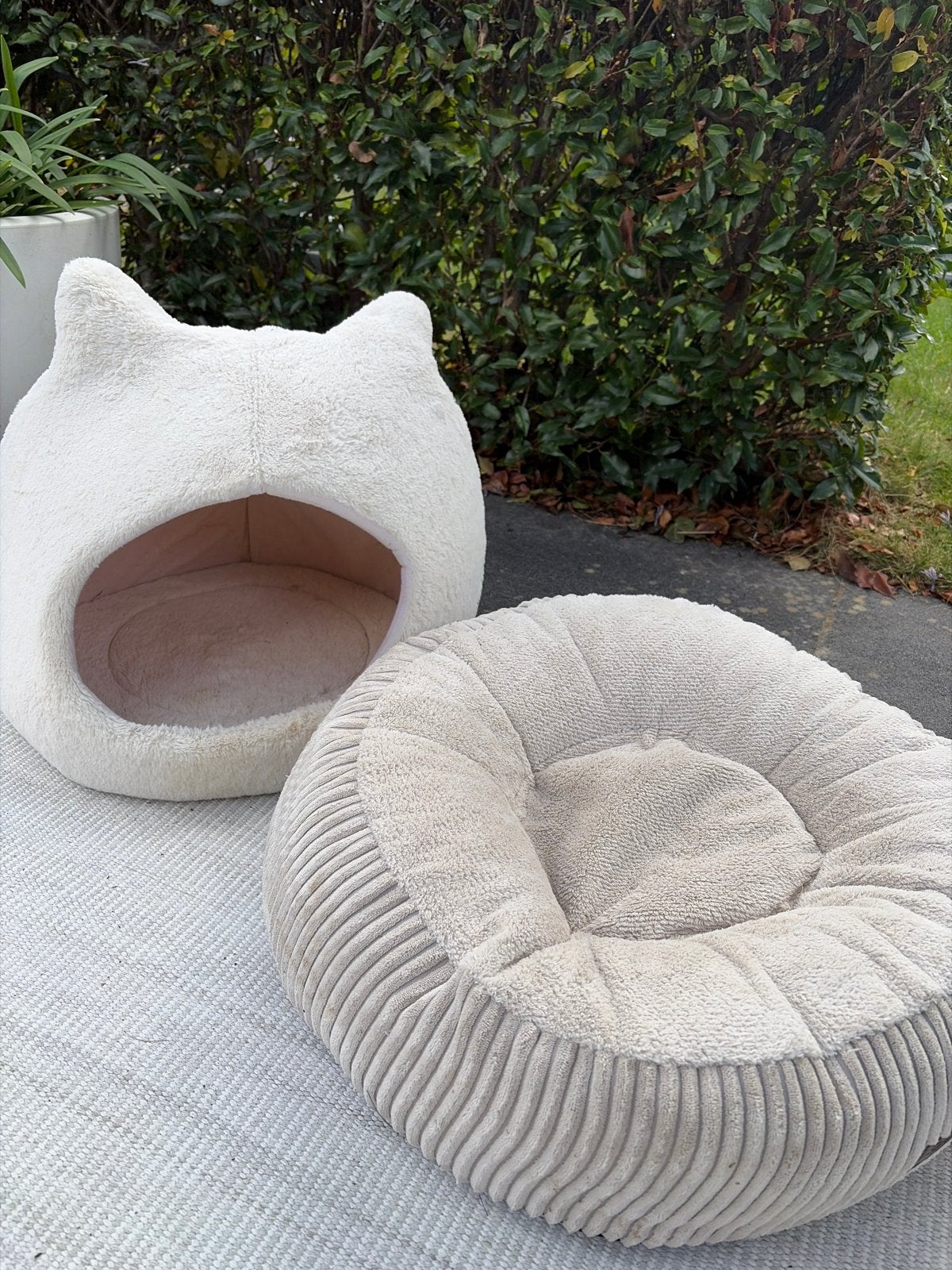 Kussentje en mand voor katten, Dieren en Toebehoren, Kattenmanden, Ophalen of Verzenden, Zo goed als nieuw, Riet