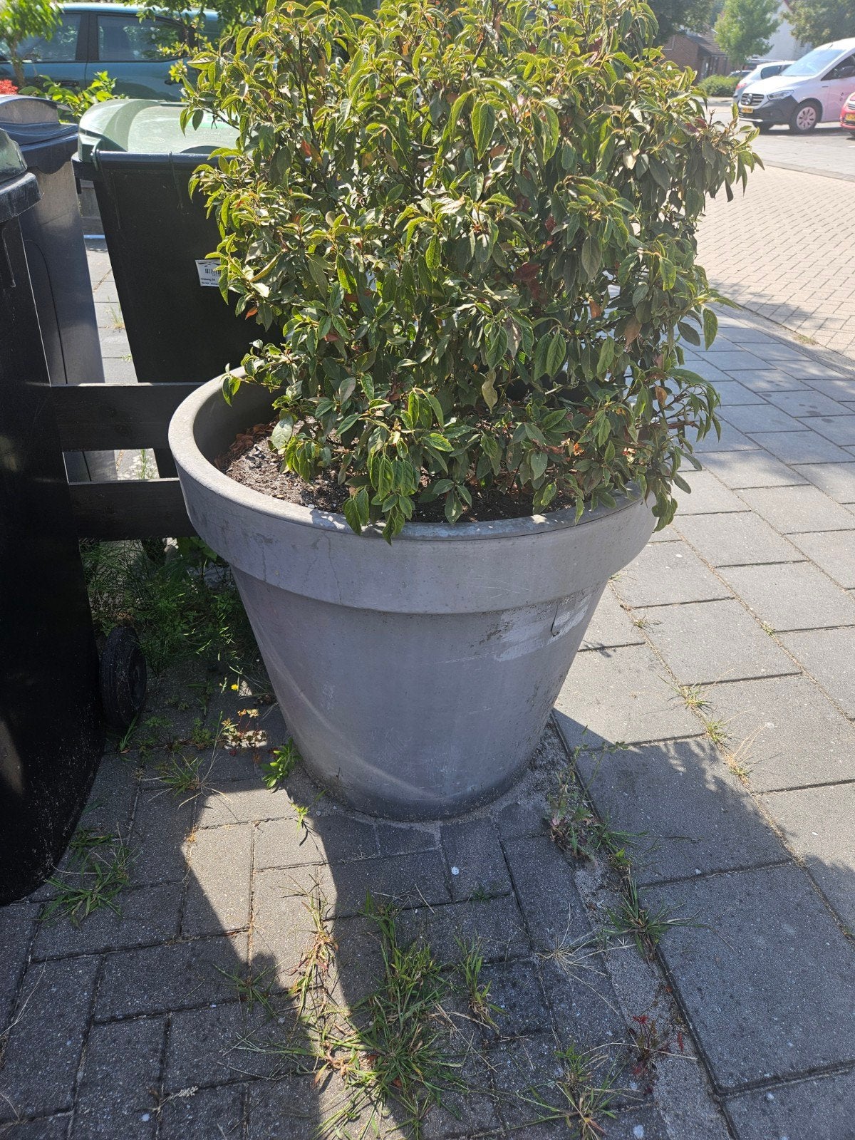 2 Grote plant potten en 2 plant bakken, Ophalen, Kunststof, Gebruikt, Rond